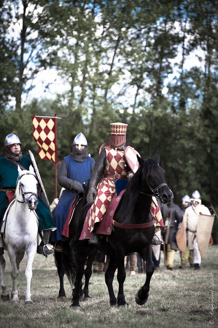 Muret 1213 2013 (28 sur 63)